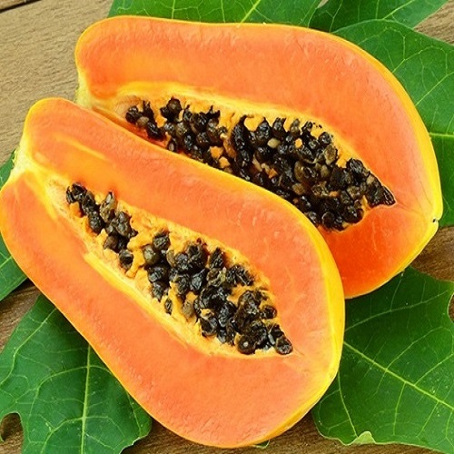 Red-papaya-400-1.jpg